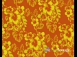 Pacific Hibiscus Flowers Orange 131